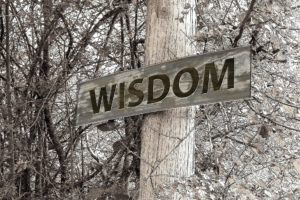 Wisdom – Asking and Believing