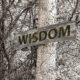 Wisdom – Asking and Believing