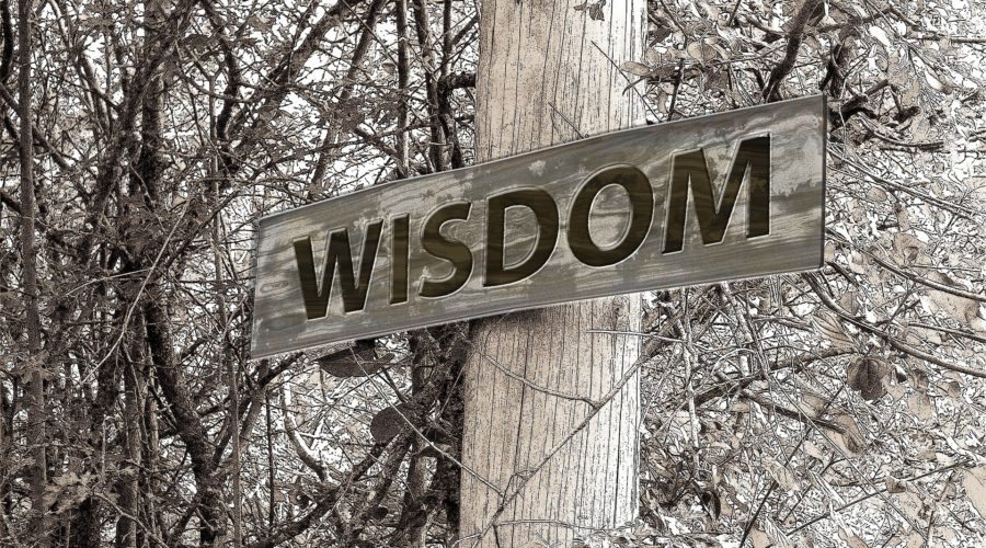 Wisdom – Asking and Believing