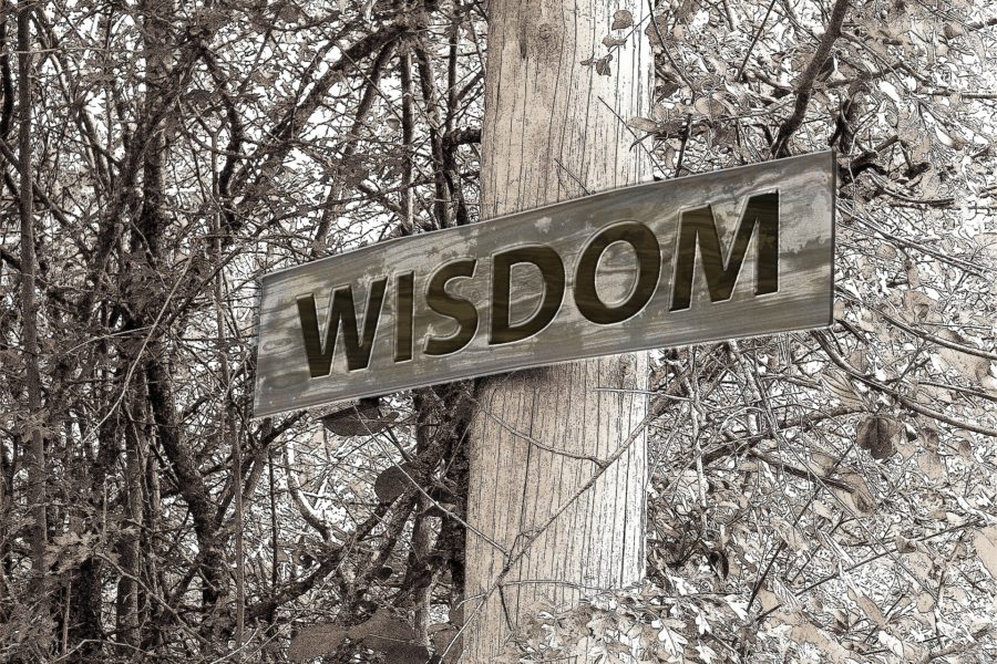 Wisdom – Asking and Believing